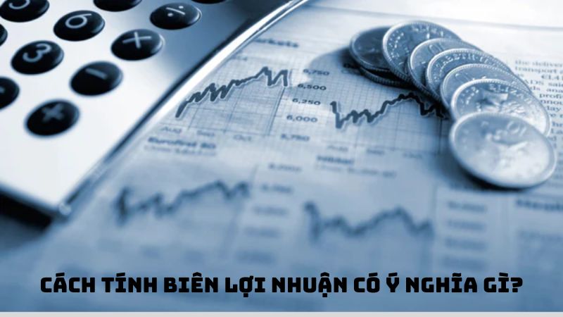 Cách tính biên lợi nhuận của nhà cái có ý nghĩa gì?