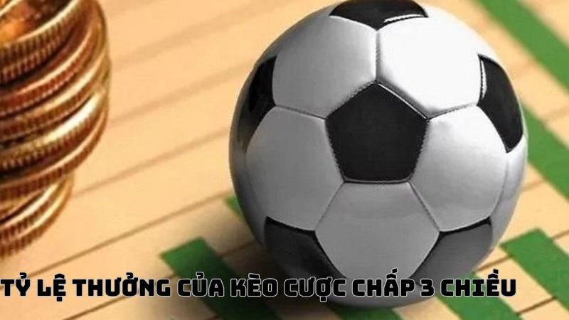 tỷ lệ odds trong Kèo cược chấp 3 chiều